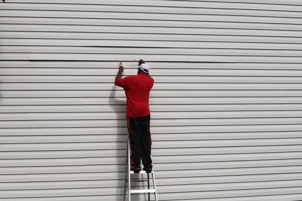 Best Siding Removal and Disposal  in Centreville, MS
